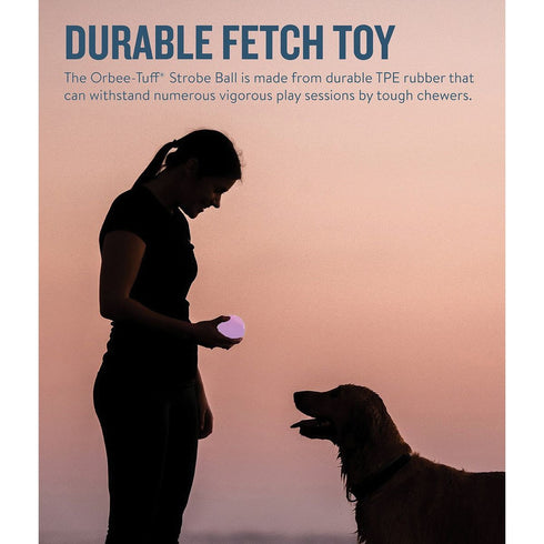 Planet Dog Orbee Strobe Ball Light Up LED Purple Dog Toy - Poudre Pet & Feed Supply 2